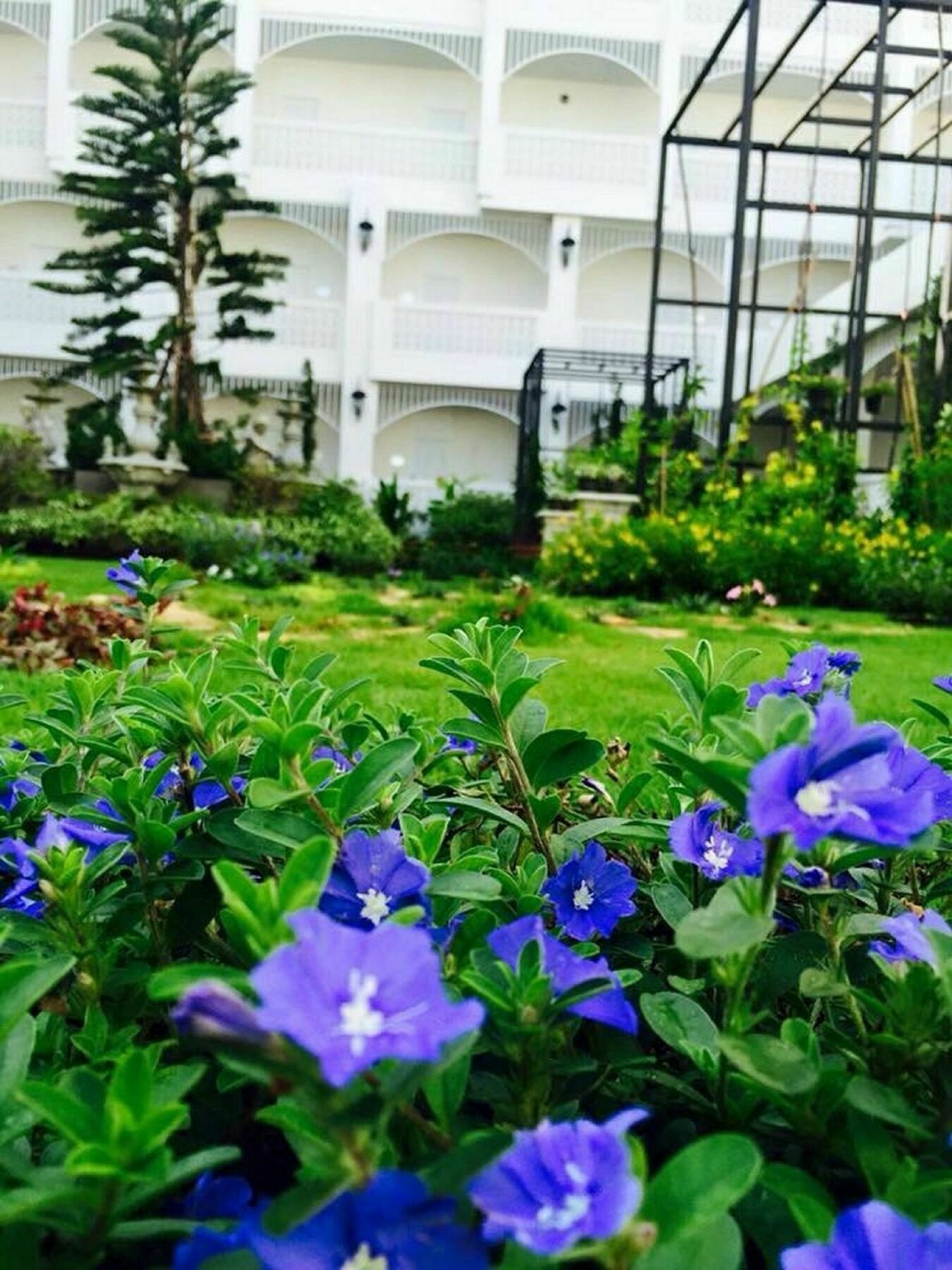 Koranaree Courtyard Boutique Hotel Nakhonratchasima Dış mekan fotoğraf
